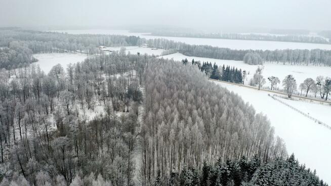 Działka leśna Harsz gm. Pozezdrze