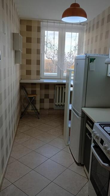 Katowice os. Tysiąclecia wynajmę kawalerkę