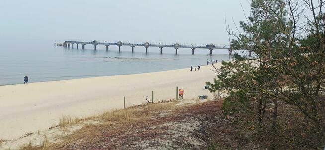 Fajny mężczyzna pozna samotna kobietę