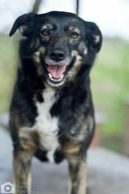 Megi i Pegi, cudowne siostry BŁAGAJĄ o dom!