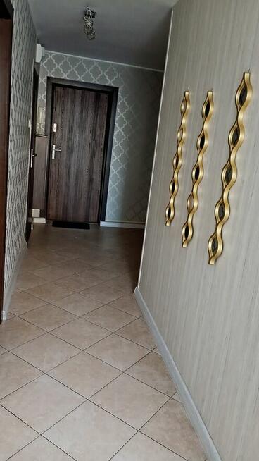 Katowice os. Tysiąclecia wynajmę kawalerkę