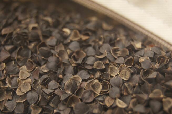 Nawóz ekologiczny Sapropel i łuska gryki 20kg