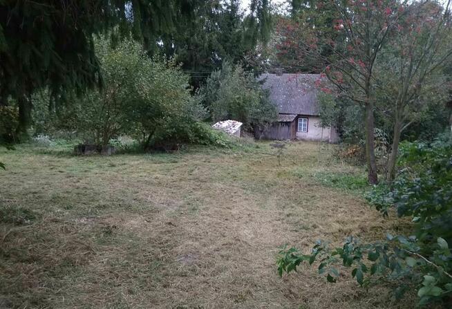 Siedlisko z potencjałem – 55 arów w Draganach (Lubelskie)