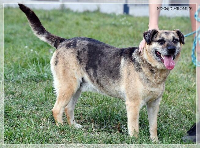 Banzai – czy istnieje świat, w którym zostaniesz pokochany?