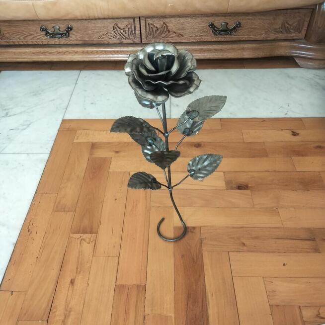 Ròża wiecznie żywa