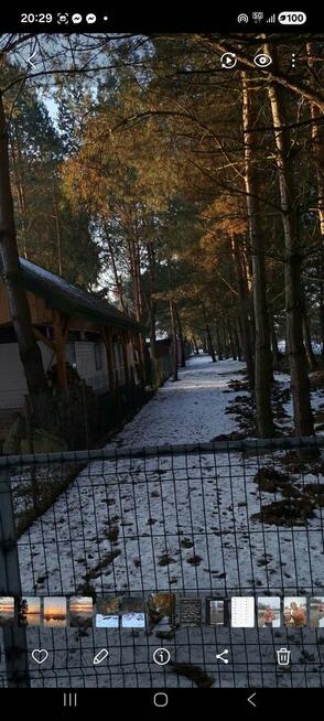 Działka nad Zalewem Sulejowskim – Karolinów | Blisko plaży i