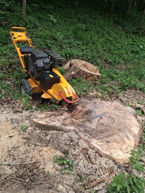 Usługi Ogrodnicze Wycinka Drzew Usuwanie Korzeni Żywopłoty