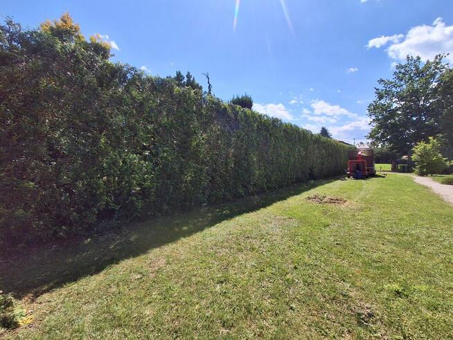 Usługi Ogrodnicze Wycinka Drzew Usuwanie Korzeni Żywopłoty