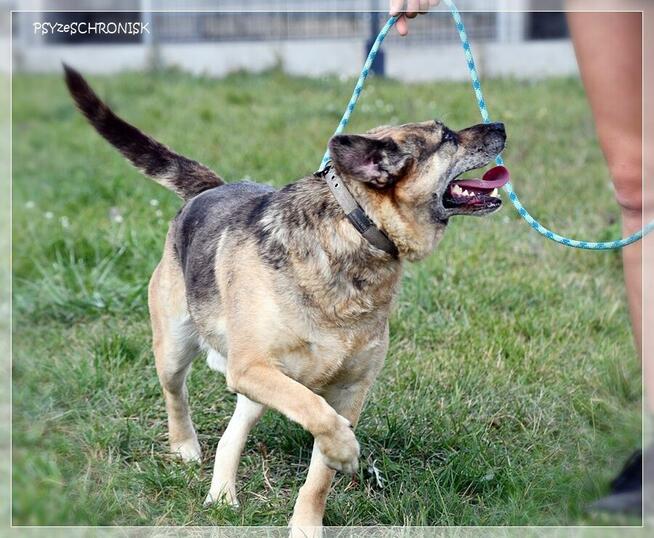 Banzai – czy istnieje świat, w którym zostaniesz pokochany?