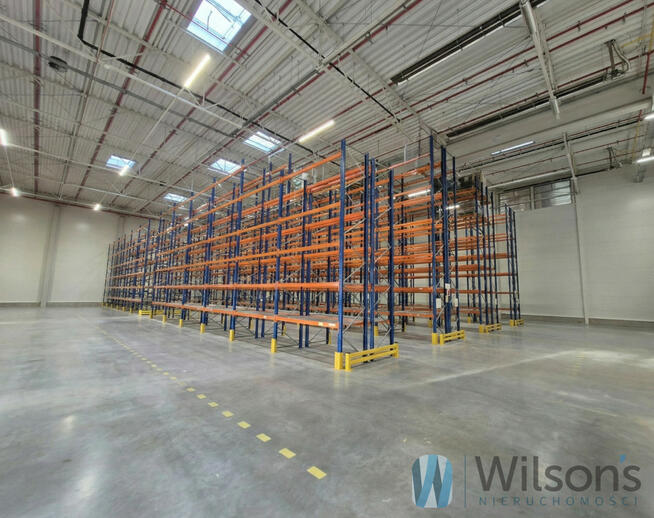 Lokal użytkowy Pruszków,