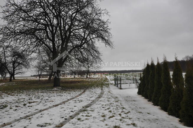 Działka budowlana Kiełczewice Górne gm. Strzyżewice, Kiełczewice