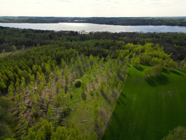Kompleks działek nad Jeziorem Dąbrowa Wielka