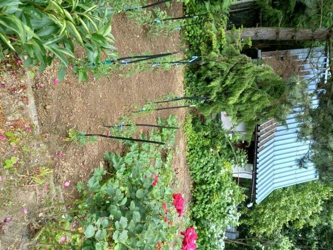 Sprzedam działkę ROD