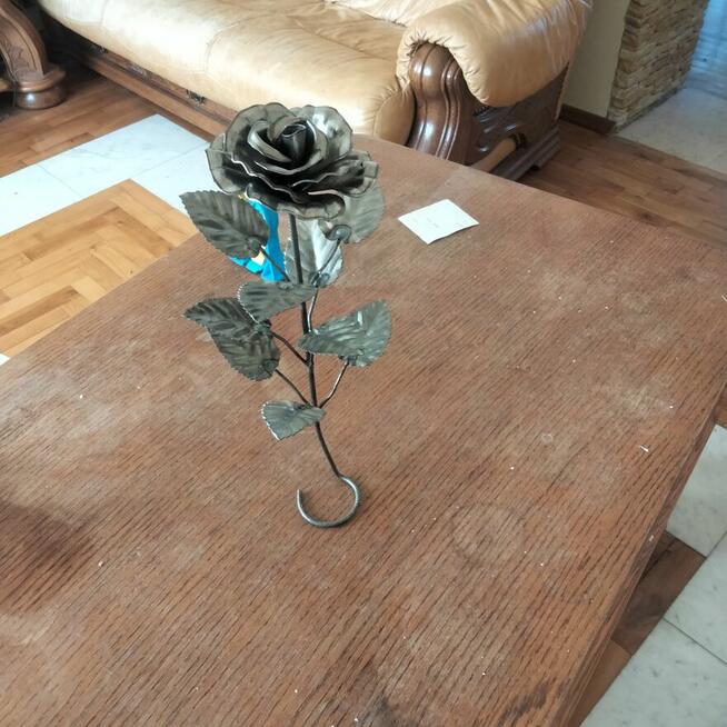 Ròża wiecznie żywa