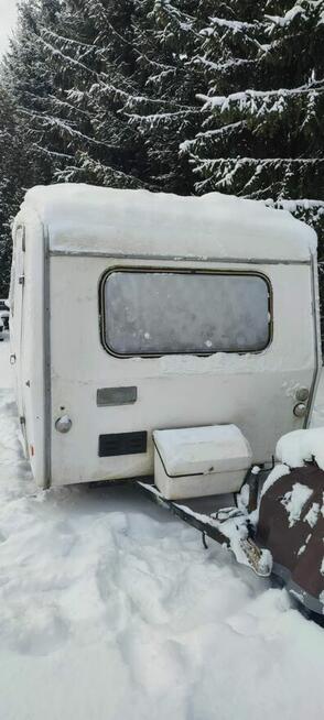 Niewiadów n126 2 sztuki