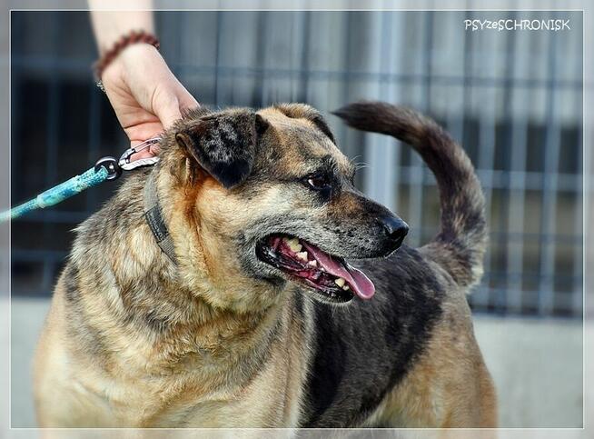 Banzai – czy istnieje świat, w którym zostaniesz pokochany?