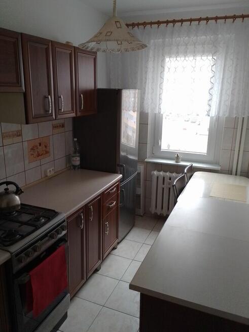 Do wynajęcia umeblowane i wyposażone mieszkanie 2 pok na Os.