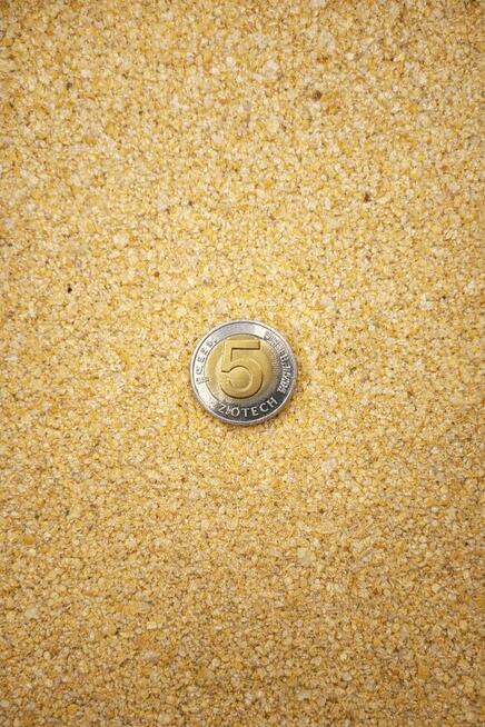 GROCH KRUSZONY 25KG wysyłka natychmiast Inpost