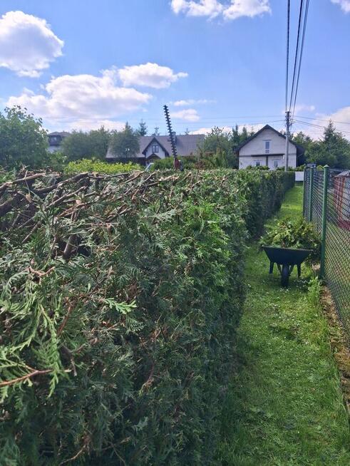 Usługi Ogrodnicze Wycinka Drzew Usuwanie Korzeni Żywopłoty