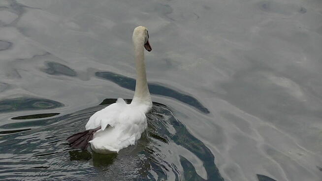 Austria, koniec kwietnia, wspolny wyjazd w gory?