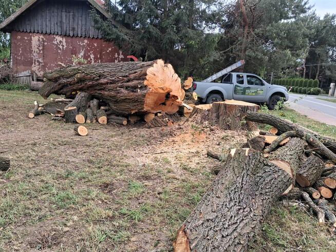 Usługi Ogrodnicze Wycinka Drzew Usuwanie Korzeni Żywopłoty
