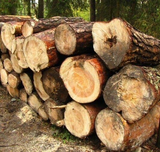 Sprzedam drewno kominkowe