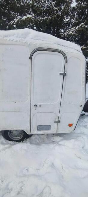 Niewiadów n126 2 sztuki