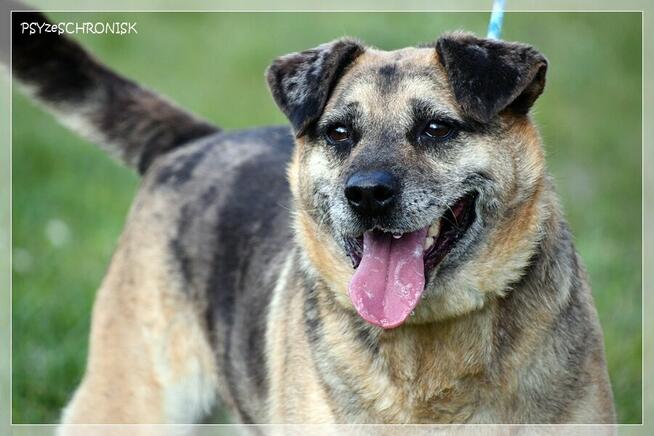Banzai – czy istnieje świat, w którym zostaniesz pokochany?