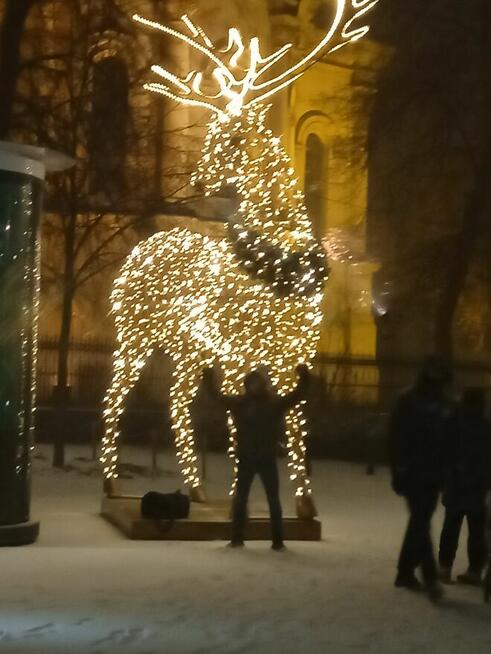 Szukam dojrzałej kobiety w przedziale wiekowym 40 do 55 late