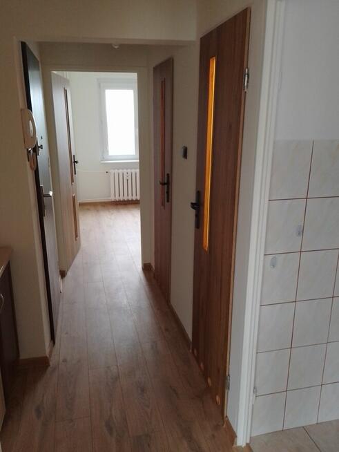 Do wynajęcia umeblowane i wyposażone mieszkanie 2 pok na Os.