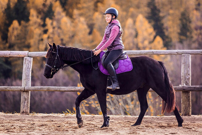 Durango kuc Connemara