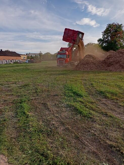 WYCINKA DRZEW, KARCZOWANIE,ZRĘBKOWANIE
