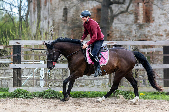 Baklava wszechstronna klacz- jeździec Adam Susłowski