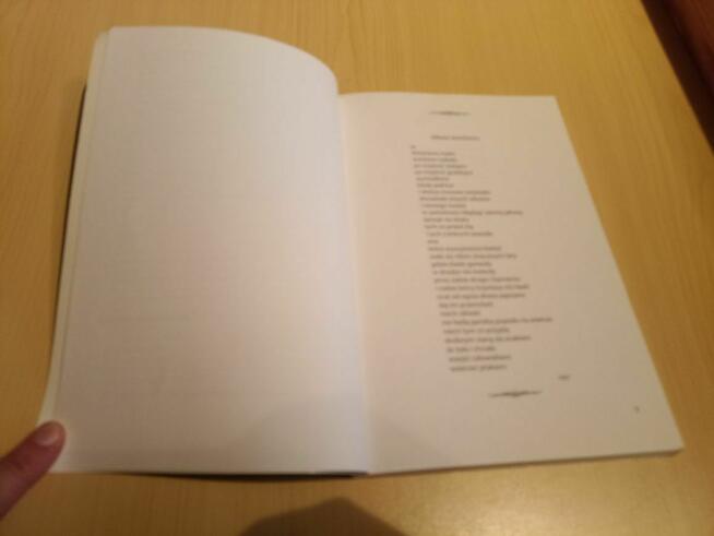 Hanna Wietrzny: Z łyżką clowna przez los + CD wyd. Trivium