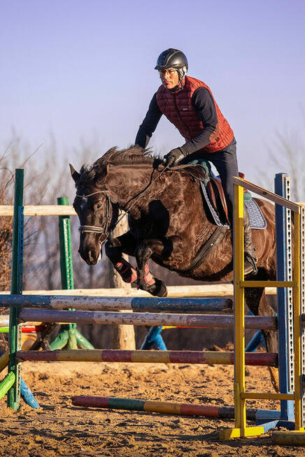 Baklava wszechstronna klacz- jeździec Adam Susłowski