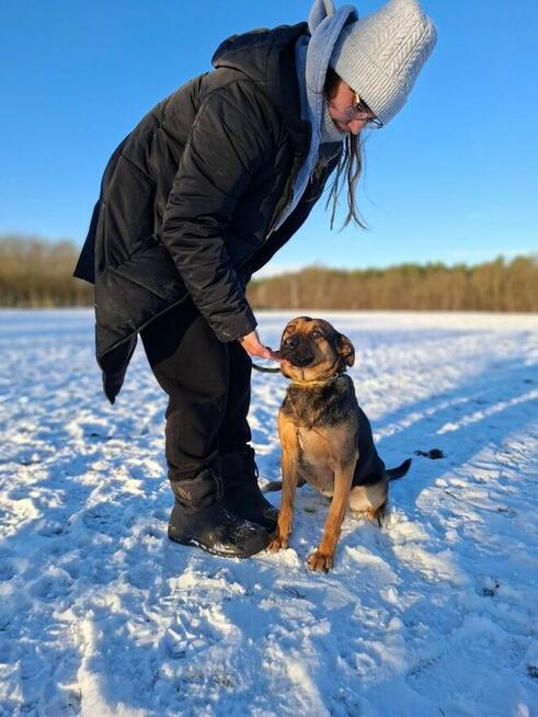Sonia-młoda średniej wielkości suczks do adopcji