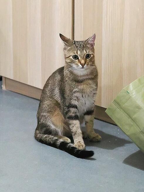 Martin co kocha wszystkich szuka domu