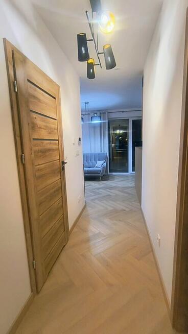 Do wynajęcia nowe mieszkanie na Osiedlu Carpatia