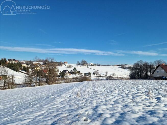 Dom Olszyny gm. Rzepiennik Strzyżewski