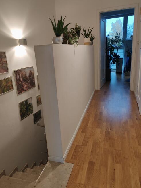 Bezczynszowy segment z ogródkiem obok lasu