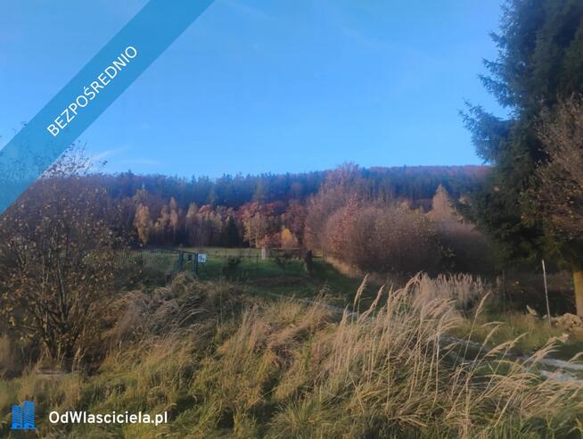 Sprzedam działkę z pięknym widokiem i świetnym sąsiedztwem – Radochów, gm. Lądek-Zdrój (Dolny Śląsk)