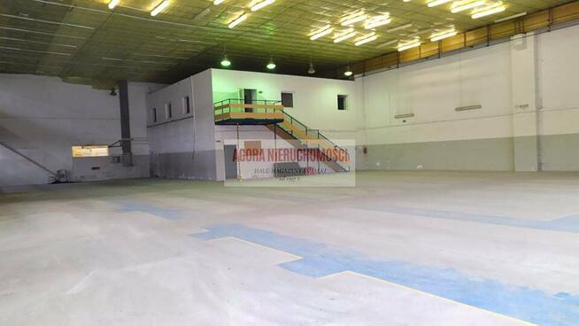 MAGAZYN Produkcja 790m2 Rybitwy, 9 m brama "0" TIR