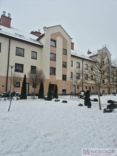 3-pokojowe mieszkanie 55m2