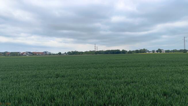 Mieszkanie Siechnice, Bzowa