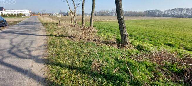 Działka rolno-budowlana Marcewek gm. Słupca