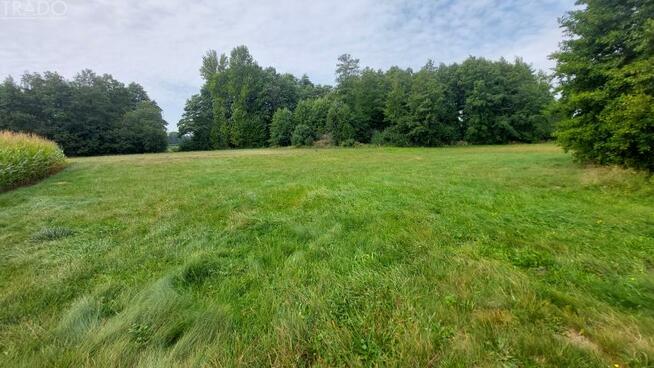 Dom Krukowo gm. Babiak