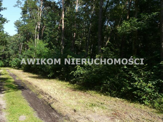 Działka siedliskowa Olszanka gm. Puszcza Mariańska