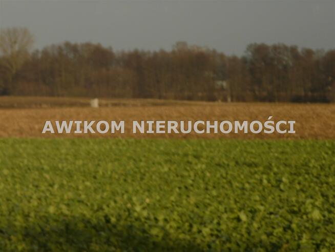 Działka siedliskowa Nowy Kawęczyn Nowy Dwór-Parcela