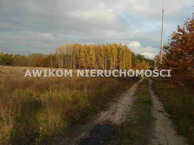 Działka rekreacyjna Puszcza Mariańska