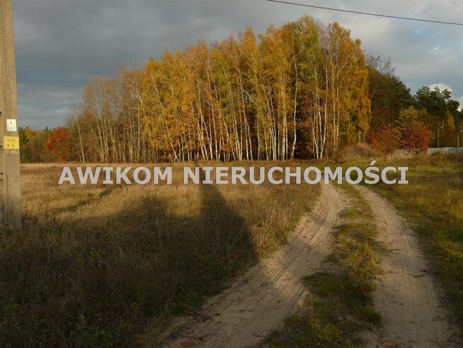 Działka rekreacyjna Puszcza Mariańska